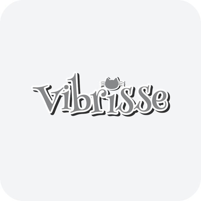 Vibrisse